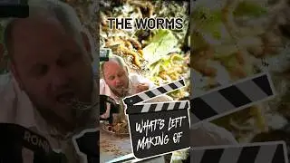 The Worms - Stubborn Trees - What&rsquo;s Left Making-Of