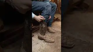 Pirarucu 🐠 #cowboys #cowboyboots