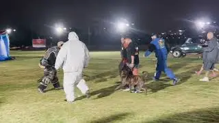 PSA3 OBEDIENCE ...FIRST PSA 3  TRIAL IN INDIA (2024 BANGLORE PSA TRIALS)