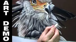 Secretary bird in Pastels time-lapse painting demo