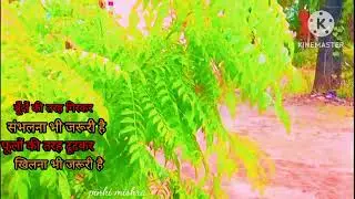 #LOVELY NATURE 💕#WITH RAIN☔ & WITH LOVELY FLOWERS🌺🏵💐 # PLZ LIKE SHARE & SUBSCRIBE CHANNEL🙏💕