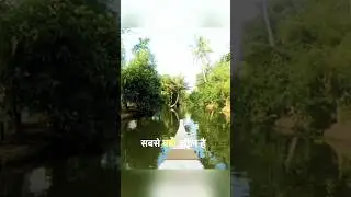 vembnad lake #shorts #youtubeshorts #viral #trending