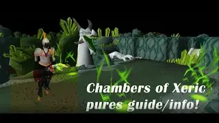 OSRS Chambers Of Xeric Raids info for PURES!