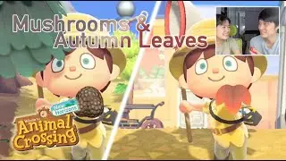 TeamAvelynne Plays ACNH: November - Mushrooms & Autumn Leaves round-up!