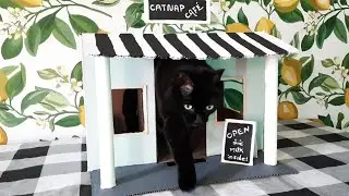 DIY Cardboard Cat House - Cat Cafe 🐈&zwj;⬛☕