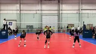 Platform 16B vs MVA 16 travel Black