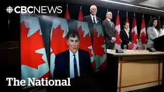 Canada adds over 300 assault-style firearms to banned weapons list