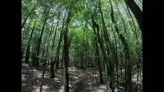 サウスヒルステーブル　霧島　鹿児島　宮崎　都城　森　乗馬　ウェスタン　　ホーストレッキング　外乗 カウボーイ