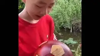 DON'T LAUGH OR LOSE! | SHARKMEME!
