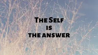 Self Abidance: the Self is the answer | Tom Das | Non-duality