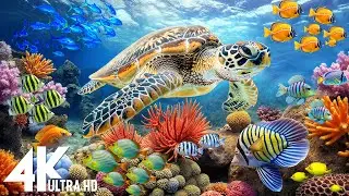 Marvel at Sea Animal in The Best 4K ULTRA HD Aquarium-Dive Into The Mesmerizing Underwater Realm #2