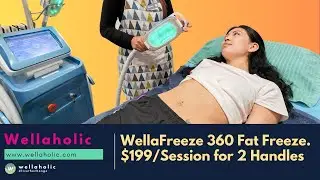 Freeze Fat Away with WellaFreeze 360 | $249 Per Session with 2 Handles