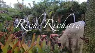 RICH RICHARD ,,, EDENTIA ,,,