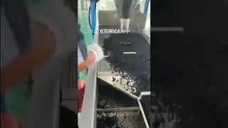 twin screw extruder producing black masterbatch