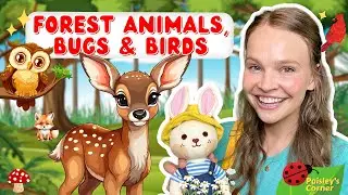 Learn Animals, Birds, & Bugs for Kids - Toddler Learning Video - Educational Video for Kids