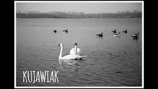 Adrian Maruszczyk - Kujawiak