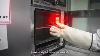 Fiber Length Analysis