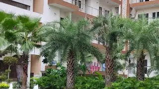 Ready to occupy Luxurious Apartments at Prime location of the City | 4 more info,Call/Wa 7500537777