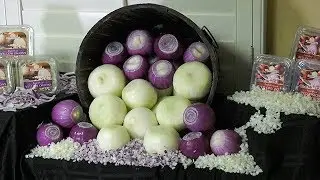 Gills Onions