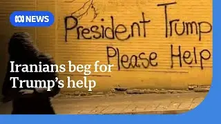 Iranians beg for Trump&rsquo;s help to topple Islamic regime | ABC NEWS