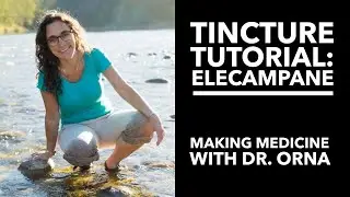 Tincture Tutorial: Making Medicine with Dr. Orna