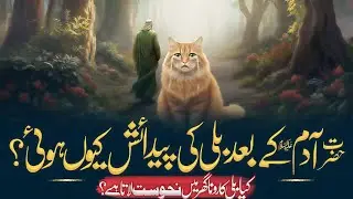 &ldquo;The Mystery of Cats After Adam (A.S.) | Islamic Perspective&rdquo;..