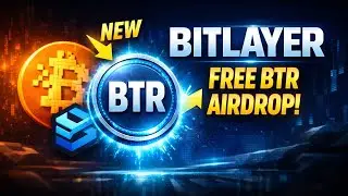 BTR Coin News Today! Bitlayer Price Prediction