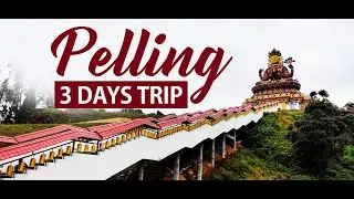 3 Days Tour plan of Pelling | Pelling 3 Days Trip | Travel Buff