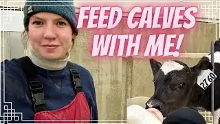 Feeding Dairy Calves Vlog!