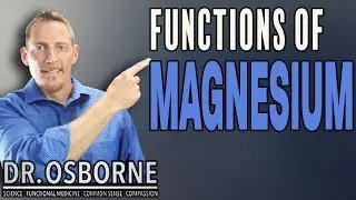 6 Important Functions of Magnesium