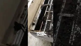 Bats 🦇Found In AC Unit Cleaning #bats #cleaning #youtubeshorts #ytshorts #fypシ゚viral #airconditioner
