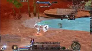 !Aion (Not Aion) 4.9 Assassin Open World PvP