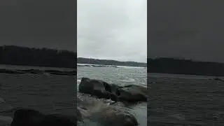 Conewago Falls Is Completely Underwater!