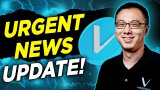 VeChain Will LEAD The World In Sustainable Blockchain! VET USA Roadmap Delayed!