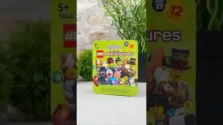 Minifigure??? What did I get? #71048
