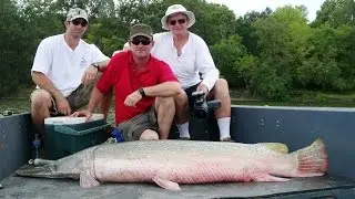 Alligator Gar -Texas monster fish