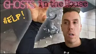 Ghost takes collar off dog! EXPLINATION  😁