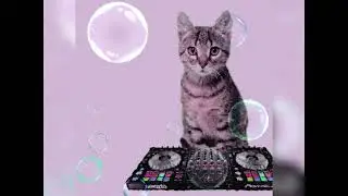 That silly meowsynth