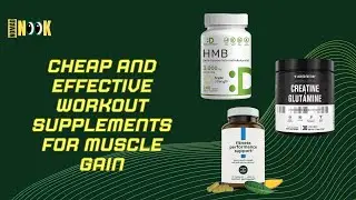 Cheap and Effective Workout Supplements for Muscle Gain - Nomad Nook