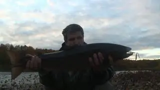 Сёмга-гриль -вкус сезона / Salmon on the grill - a new taste
