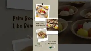 Sustainable Dining Made Simple: Palm Leaf Bowls Like Bamboo Delivered from CA & NJ