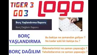 BORÇ YAŞLANDIRMA & ÖDEME DAĞILIM RAPORLARI