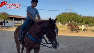 VAQUEIRO LEVY DOMANDO A POTRA LUNA SHAKE