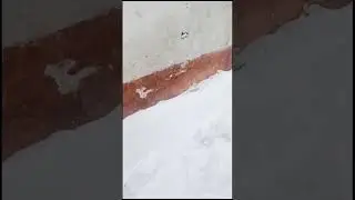8 /1/2025 Kargil me bahut thandh pad rhi hai