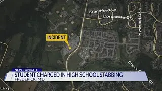 Student charged as adult for stabbing at Tuscarora High School, sheriff&rsquo;s office says