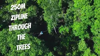 Forest Flying in Finch Hatton, QLD: A Magical Aerial Adventure