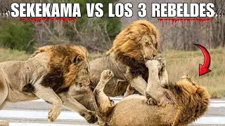 💥 TRAICIÓN FAMILIAR 💀| El DÍA que SEKEKAMA casi PIERDE EL TRONO | DINASTÍA ROTA