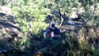 partir mato na herdade da machoqueira velha