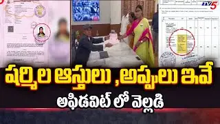 YS Sharmila Affidavit | Sharmila Nomination | Kadapa | Congress | YS Jagan | TV5 News