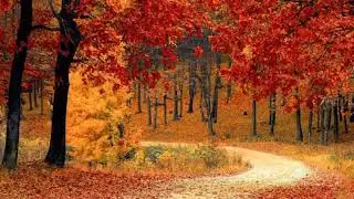 Beautiful Views With Relaxing Flute Music 🎶🎶